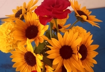 5 NGỘ NHẬN VÀ SỰ THẬT VỀ TỰ KỈ 