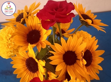 5 NGỘ NHẬN VÀ SỰ THẬT VỀ TỰ KỈ 